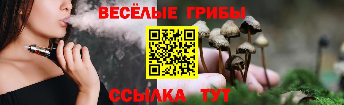 Ижевск  Псилоцибиновые грибы Cubensis  Вход с VPN 